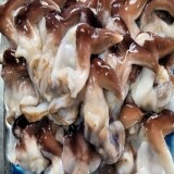 여수 손질 새조개 2.5kg(실중량 500g) 순살새조개