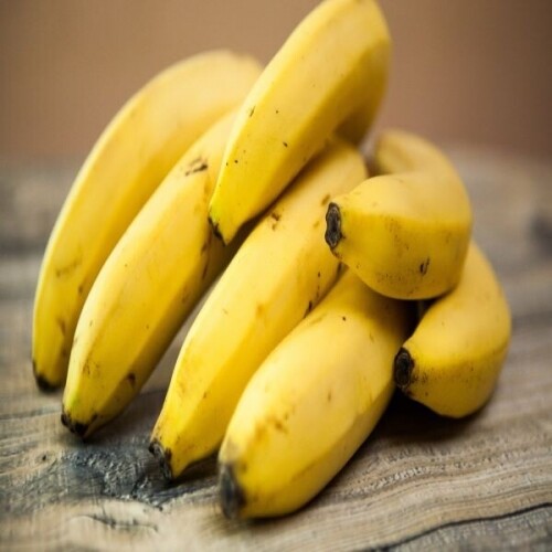 프리미엄 고당도 바나나 촉촉하고 부드러운 간식 아침식사대용